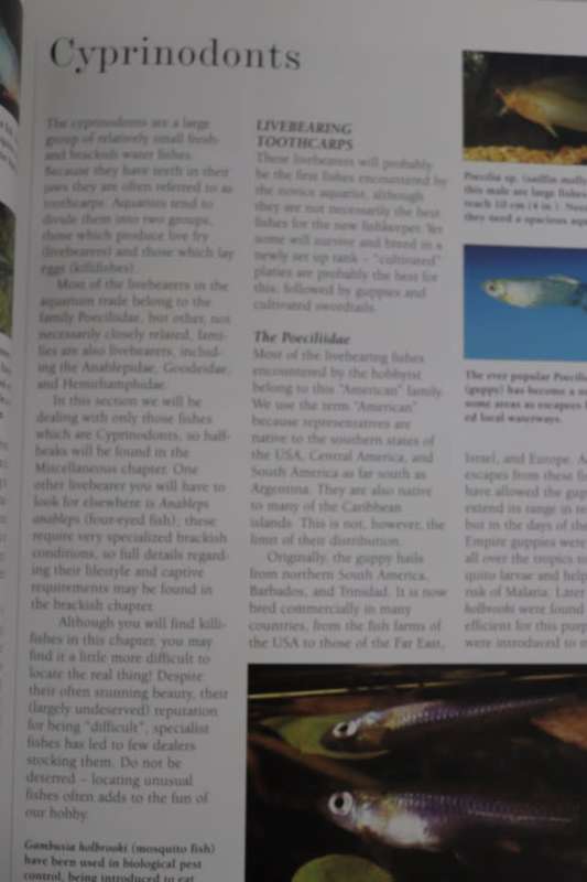 AQUARIUM FISH By M Bailey & G Sandford