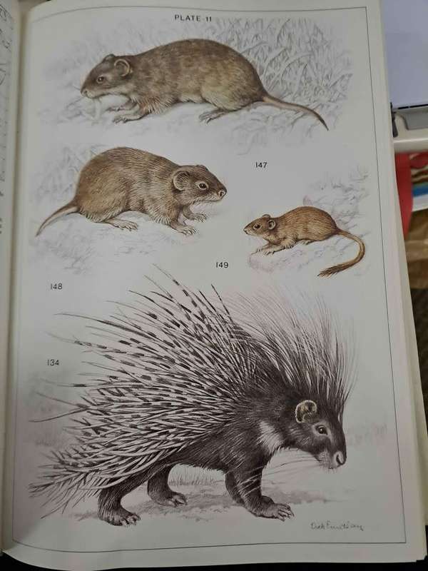 THE MAMMALS OF THE SOUTHERN AFRICAN SUBREGION. By J Skinner & R Smithers