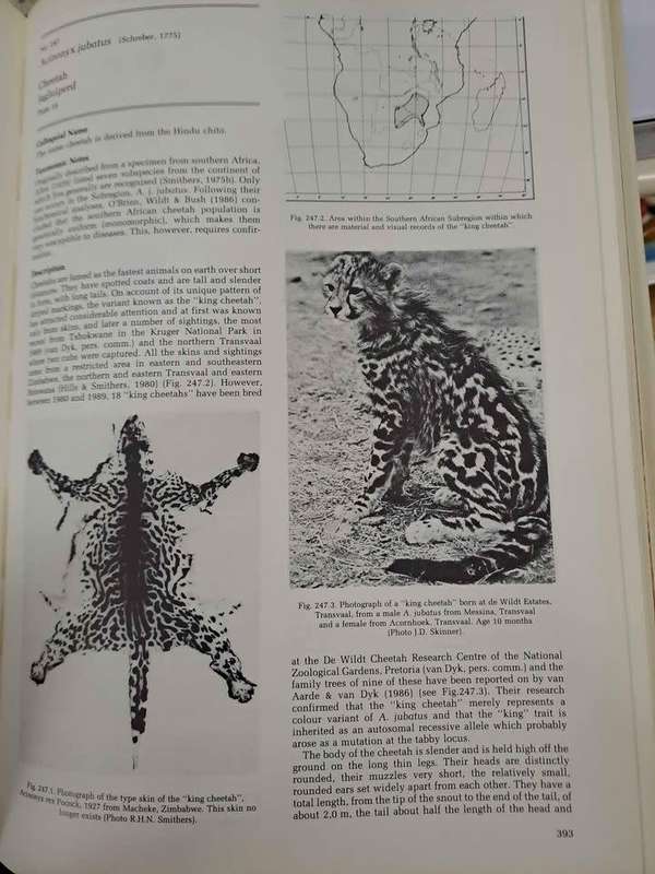 THE MAMMALS OF THE SOUTHERN AFRICAN SUBREGION. By J Skinner & R Smithers
