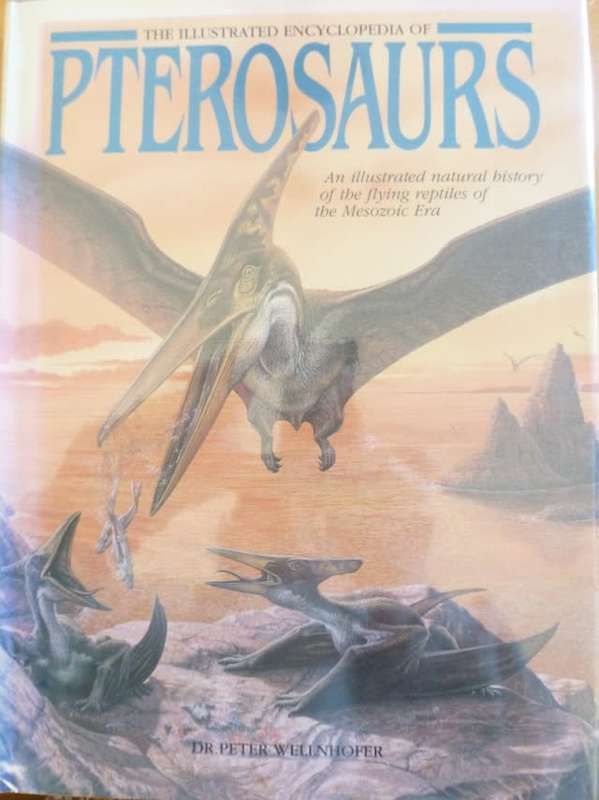 PTEROSAURS