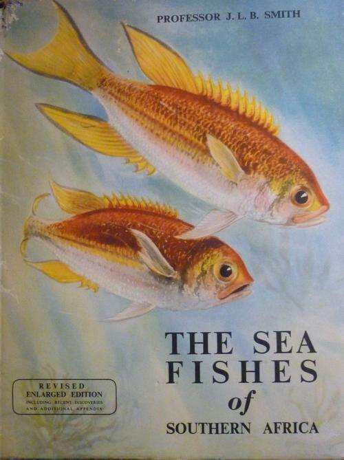 THE SEA FISHES OF SOUTHERN AFRICA. By Professor J L B Smith