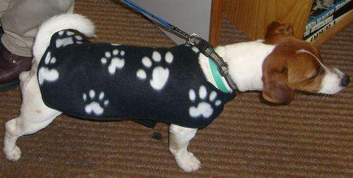 DOG JACKET/COAT - FLEECY - SMALL DOG