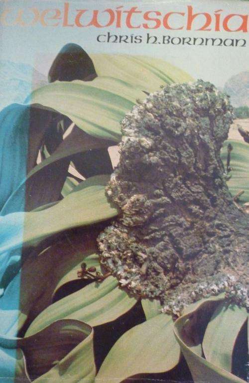 WELWITSCHIA. BY Chris H Bornman