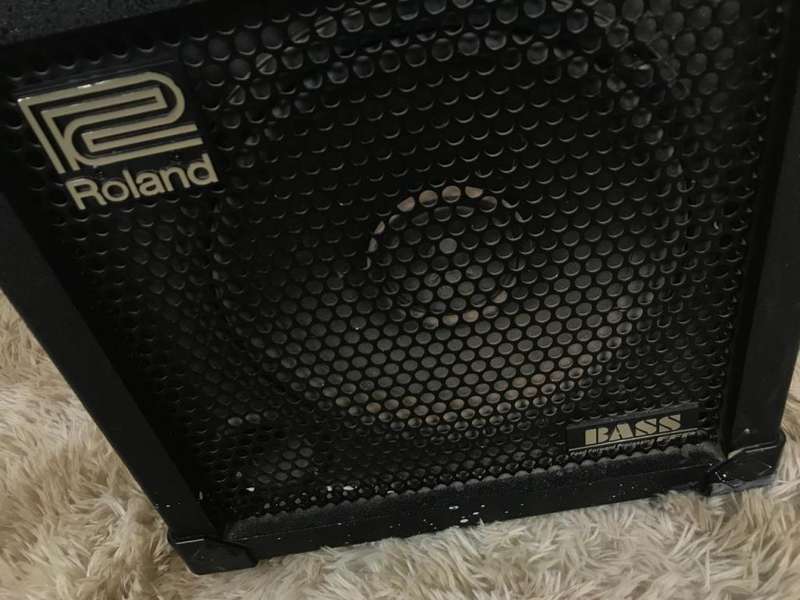 ROLAND CUBE-30 Bass Amp