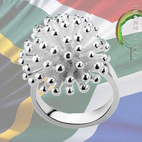 Lucky Silver local rings