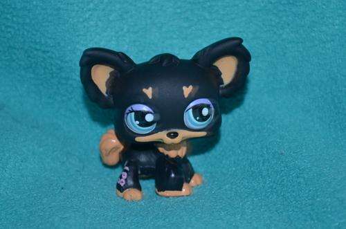 Littlest Pet Shop (LPS) Chihuahua dog #1791