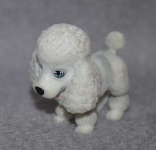 Puppy in My Pocket - Poodle