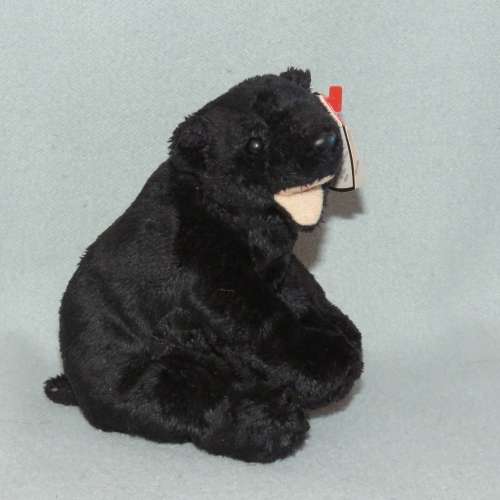 TY Beanie Baby Cinders the Black Bear