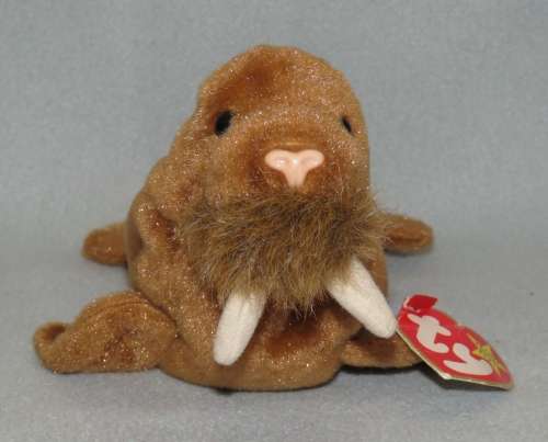 Ty Beanie Baby Paul the Walrus