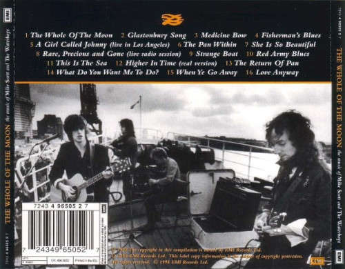 Mike Scott And The Waterboys - The Whole Of The Moon (CD)