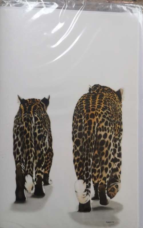Greeting/Birtday Card + Envelope - Leopards [New]