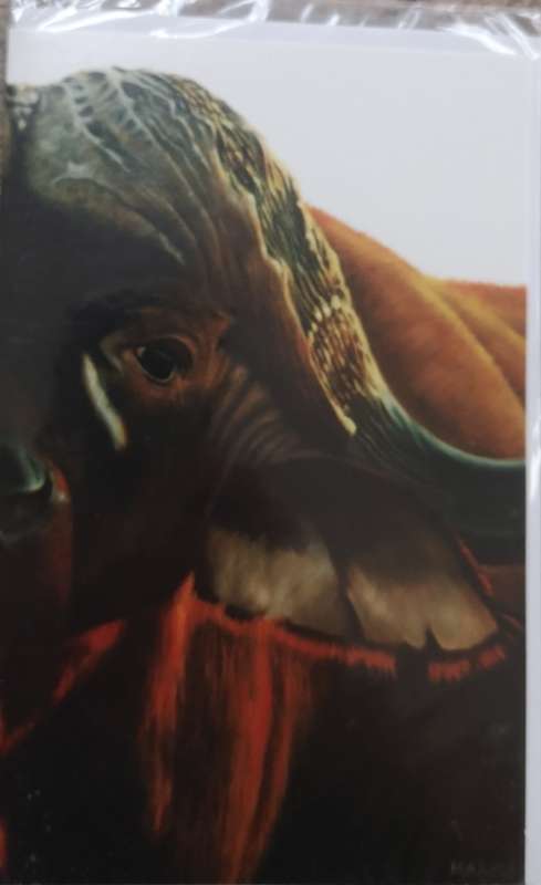 Greeting Birtday Card + Envelope - Buffalo [New]