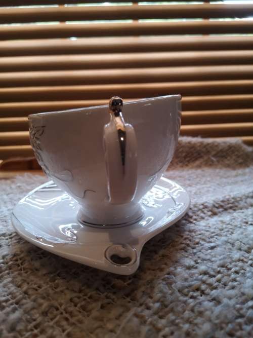 Highly Collectable Porcelain Teacup and Saucer with embossed detail and silver finishing