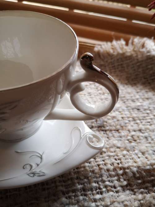 Highly Collectable Porcelain Teacup and Saucer with embossed detail and silver finishing