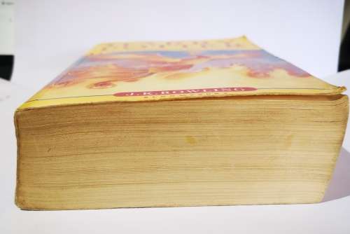 Harry Potter and the Order of the Phoenix 2004 (Soft Cover) (Book)