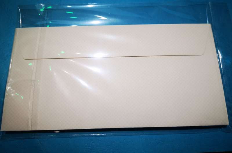 Envelopes 220mm x 110mm - Professional Look - Pack of 10
