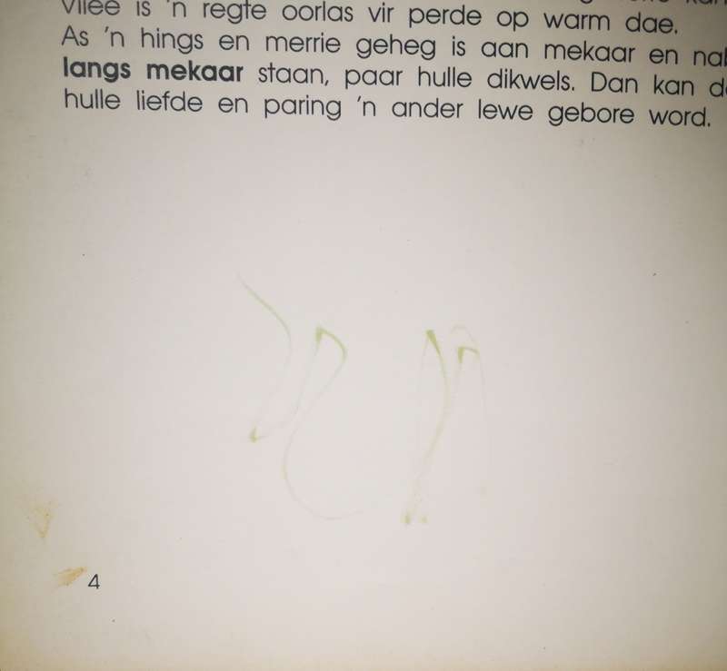 n Geskenk vir Ster en Bes (Book)