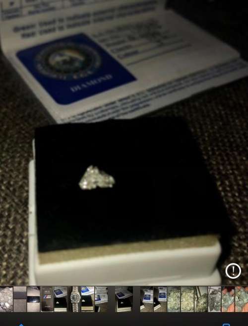 Extremely Rare Horse Head Cut Diamond EGL Certified