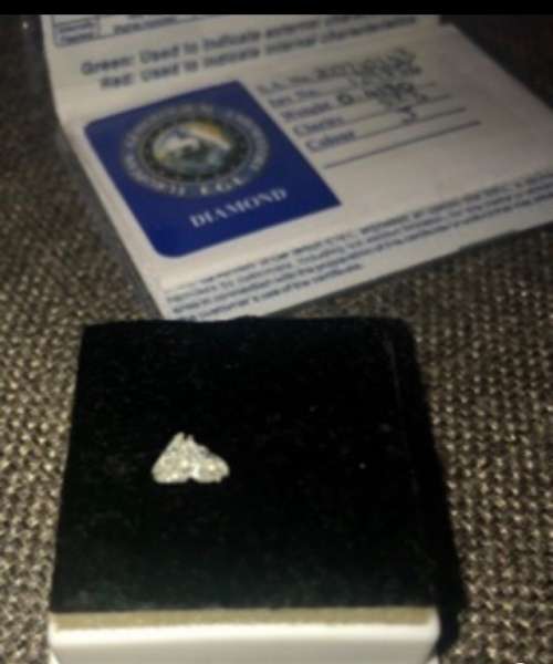 Extremely Rare Horse Head Cut Diamond EGL Certified