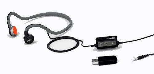 Sport headphones