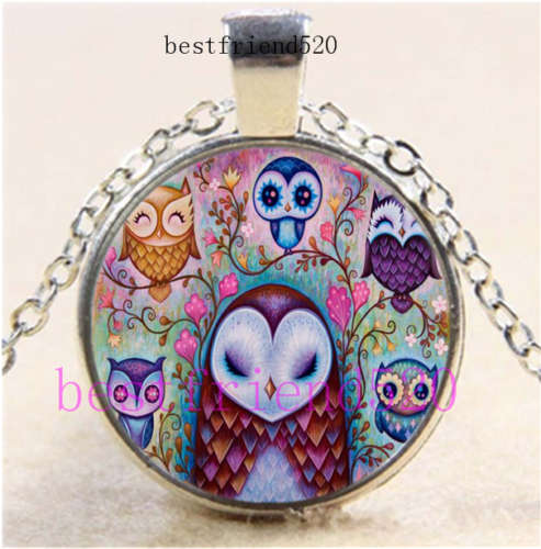 Pretty Owl Photo Cabochon Glass Silver Chain