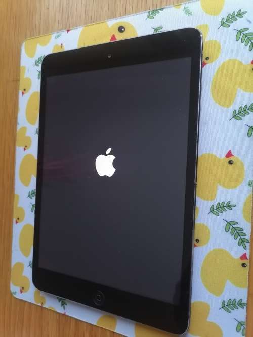 IPAD MINI 2 - 32GIG - WIFI ONLY