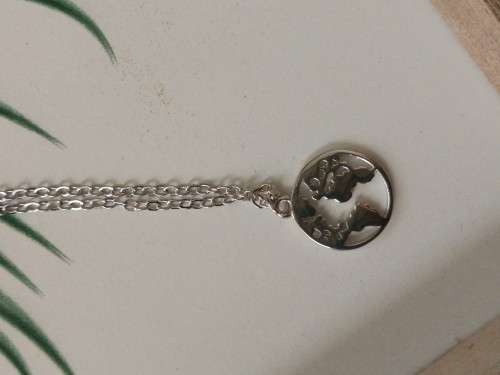 Sterling Silver World Map pendant and chain