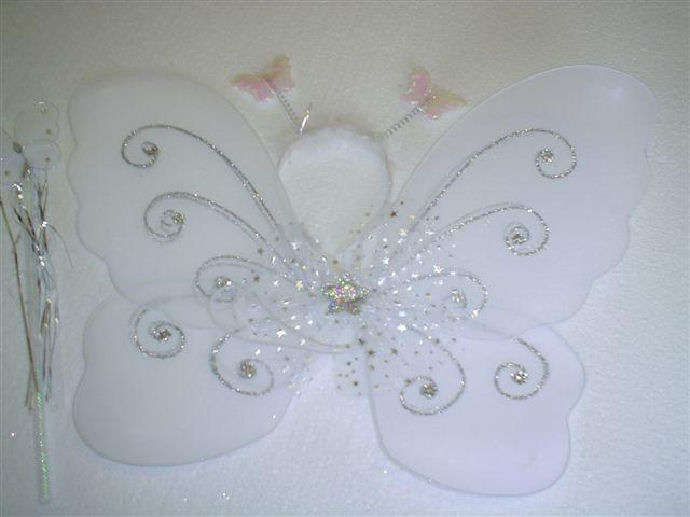 Fairy wings