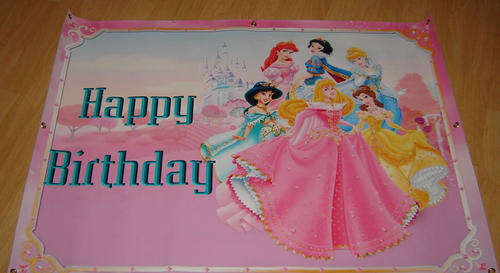 PVC Disney princess party banner  for sale