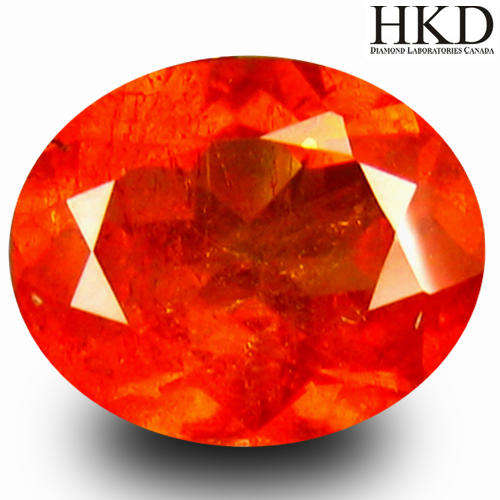 !!!VIDEO!!! 1.78 ct Certified Significant Oval Shape Un-Heated Orange Garnet Spessartine