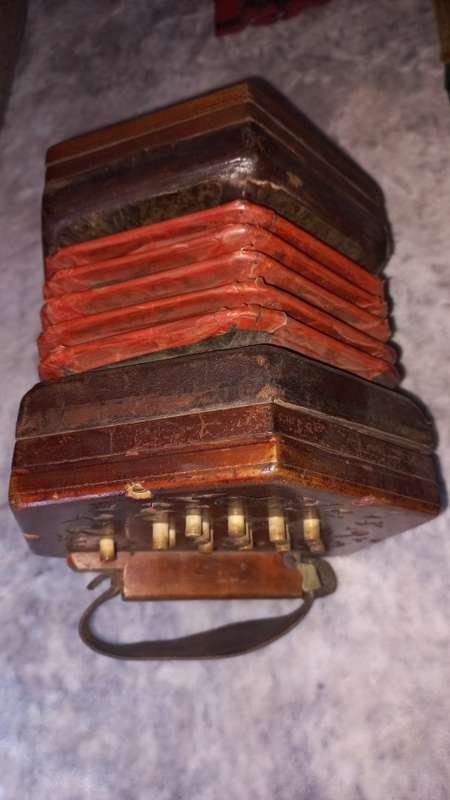 Concertina