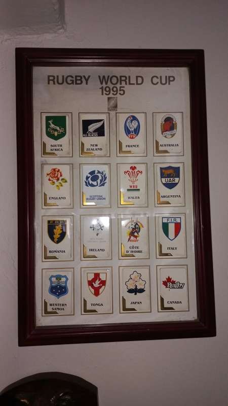 RUGBY WORLD 1995 CARDS