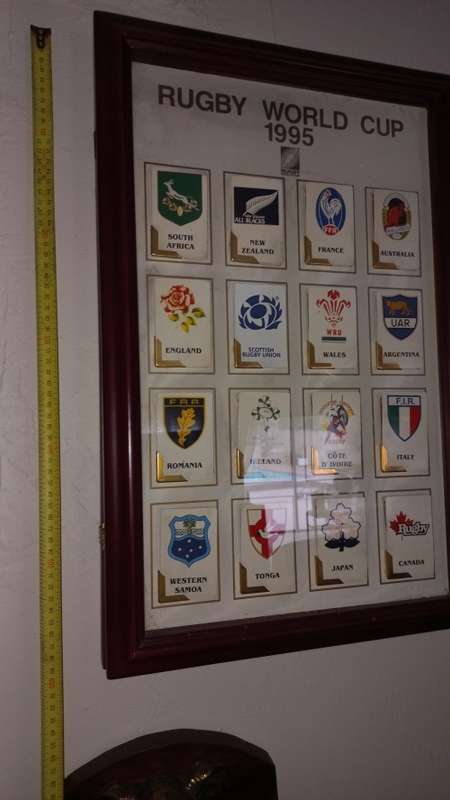 RUGBY WORLD 1995 CARDS