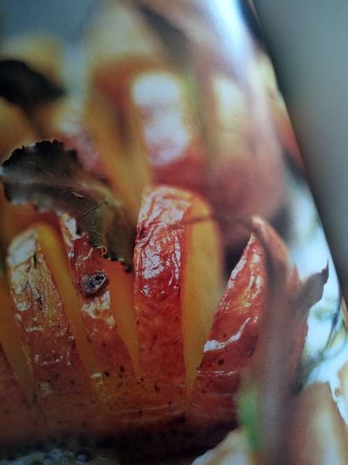 A Passion For Potatoes (Soft Cover) Paul Gayler