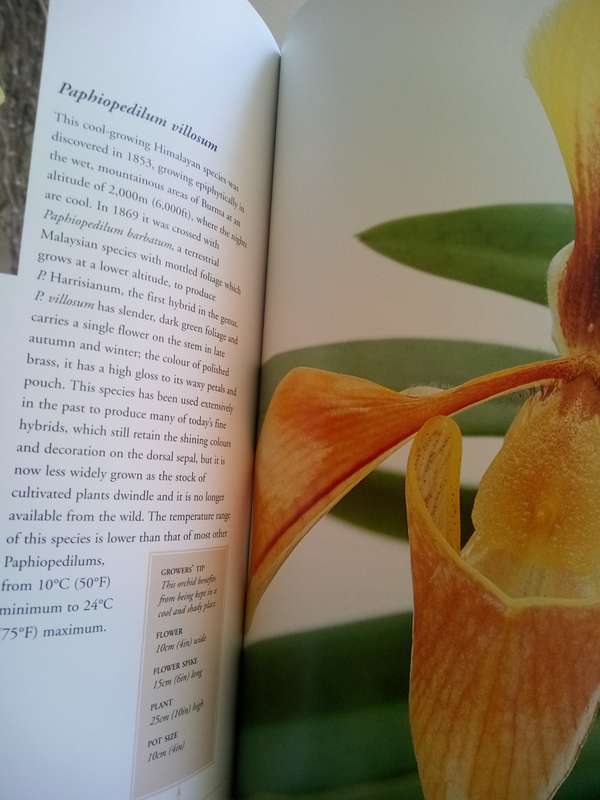 Orchids (Soft Cover) The Amazing World Of Orchids