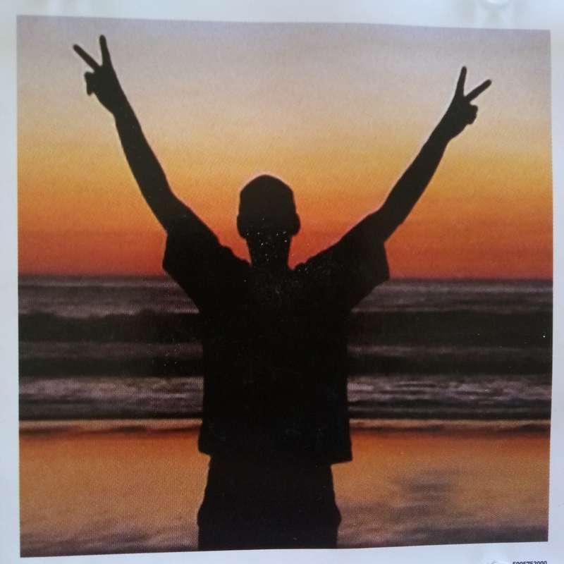 Fat Boy Slim (CD) Halfway Between The Gutter And The Stars