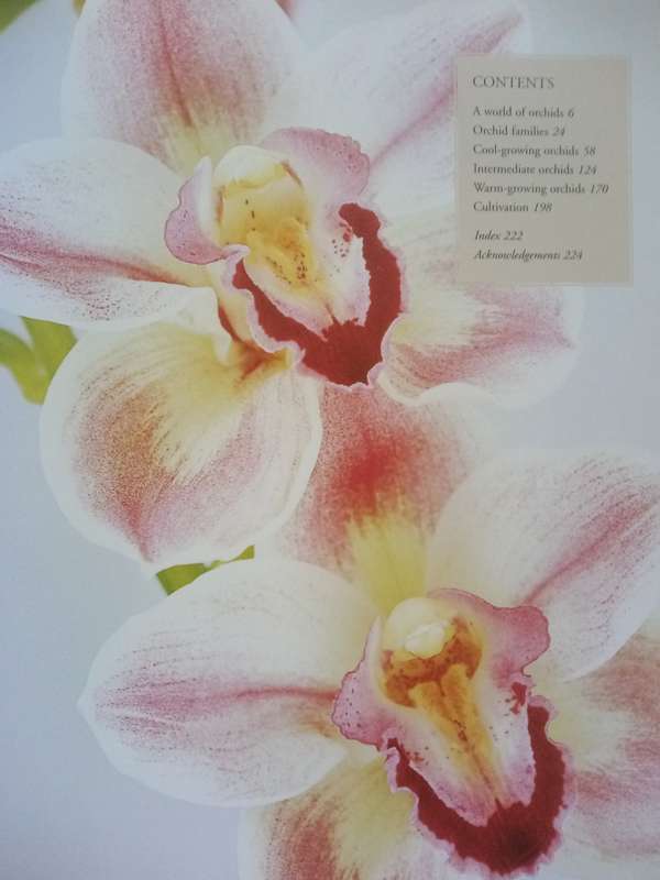 Orchids (Soft Cover) The Amazing World Of Orchids