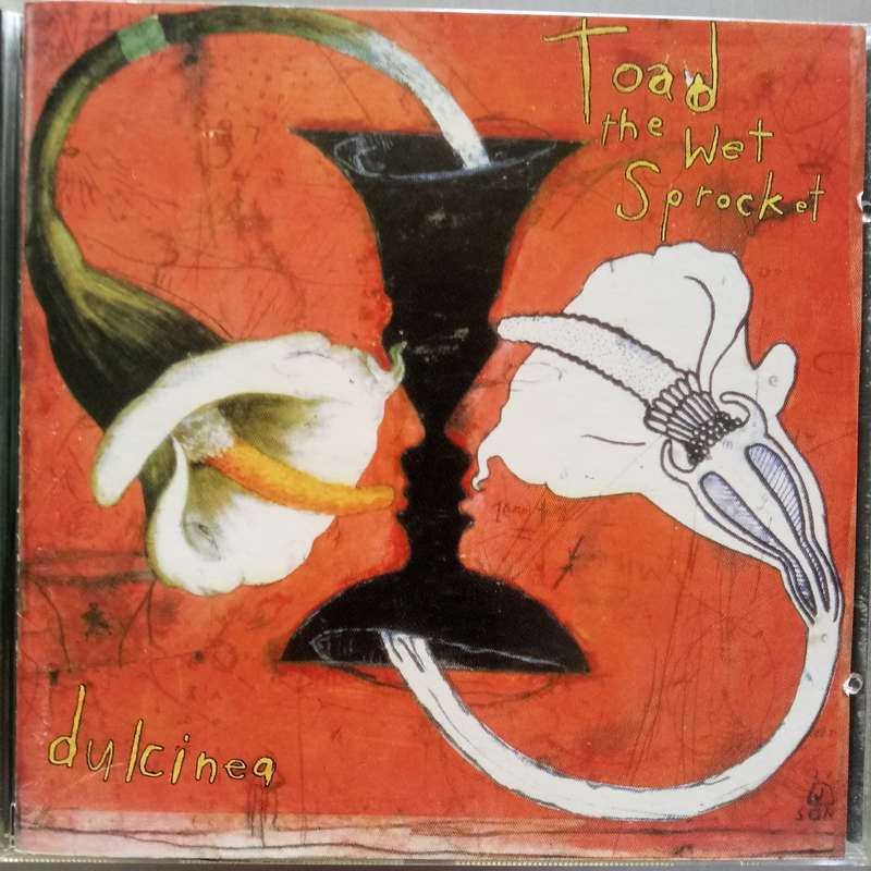 Toad The Wet Sprocket (CD) Dulcinea