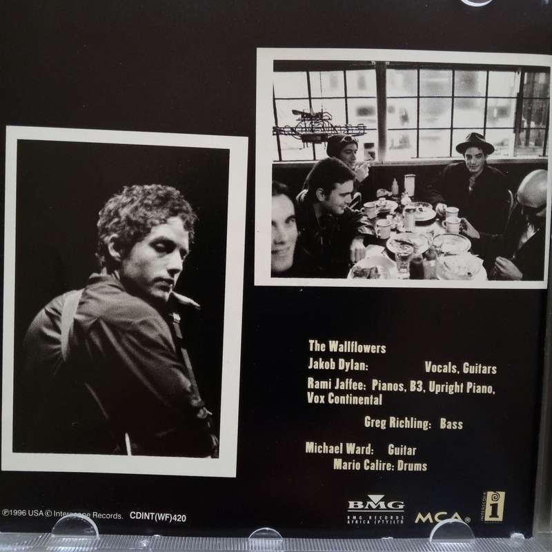 The Wallflowers (CD) Bringing Down The Horse
