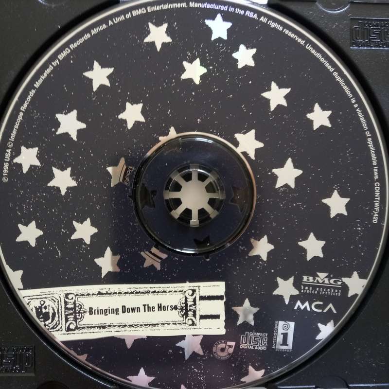 The Wallflowers (CD) Bringing Down The Horse