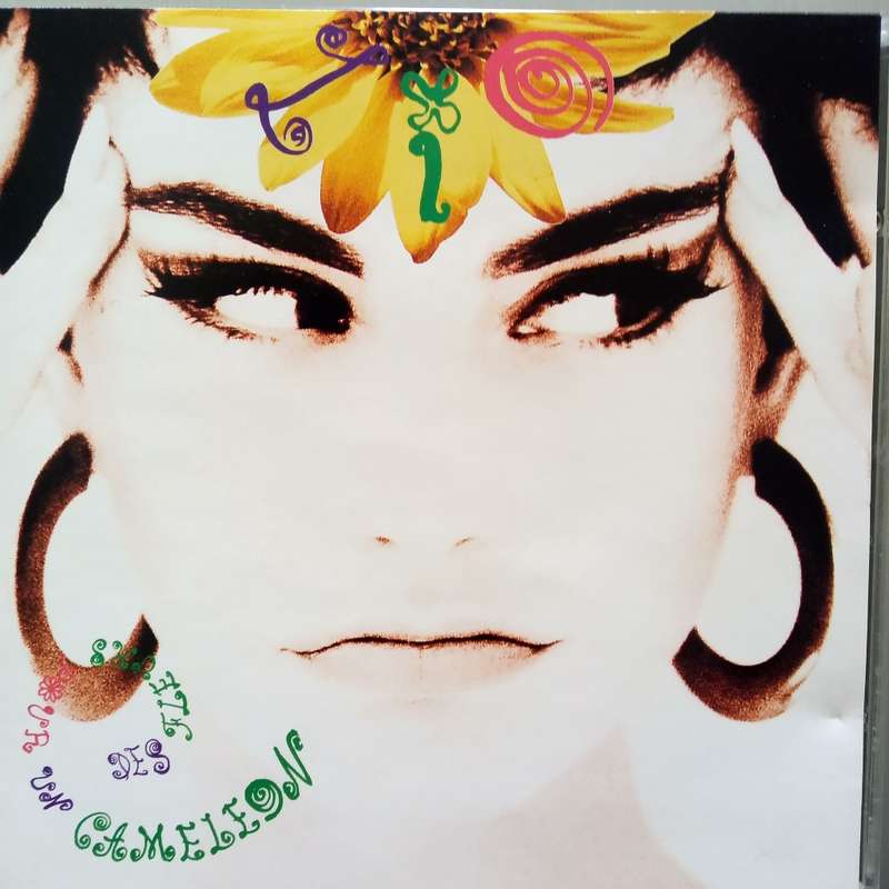 Lio (CD) Des Fleurs Pour Un Cameleon