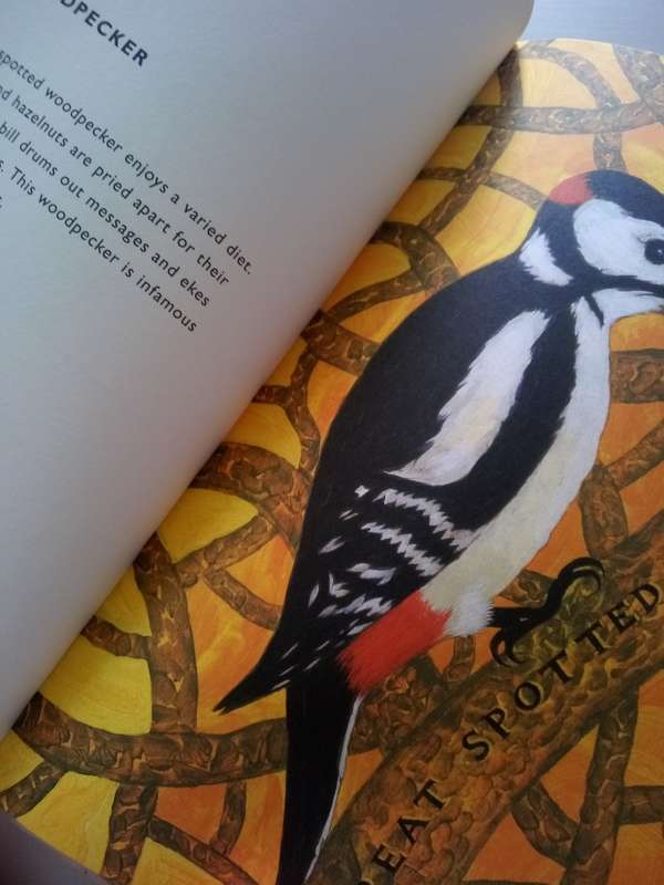 Birds (Hardcover) Jeffrey Fisher