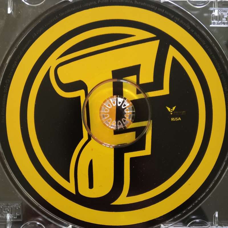 The Finkelstiens (CD) The Finkelstiens