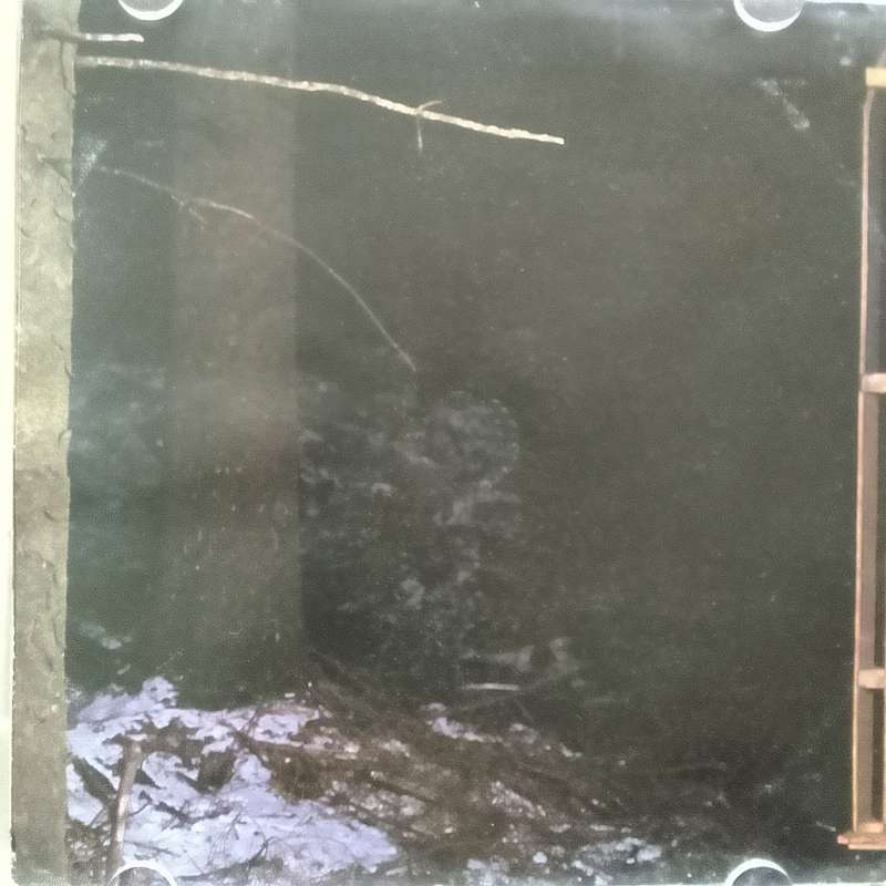 The Cranberries (CD) To The Faithful Departed