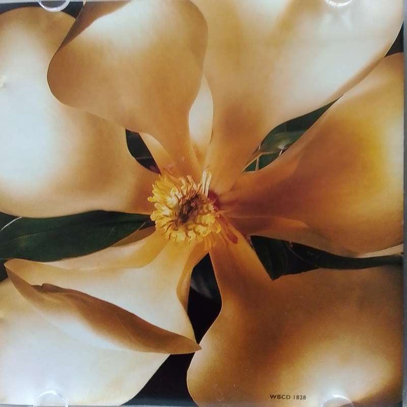 Madonna (CD) Something To Remember