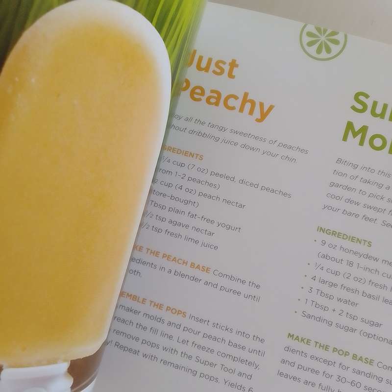 Zoku Quick Pops (Soft Cover) Gourmet Pops