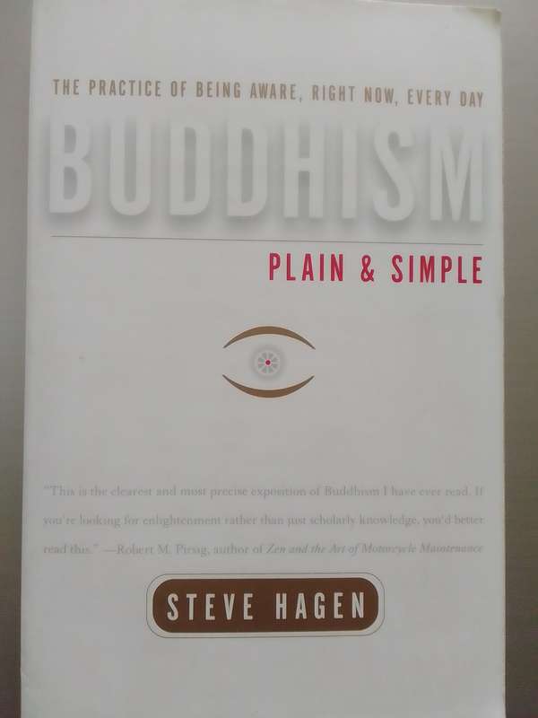 Buddhism Plain & Simple (Paperback) Steve Hagen