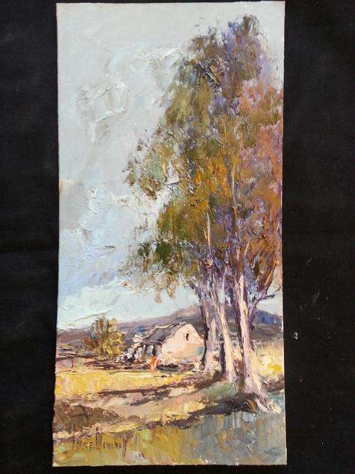 Corne Weideman no20 size: 250x510