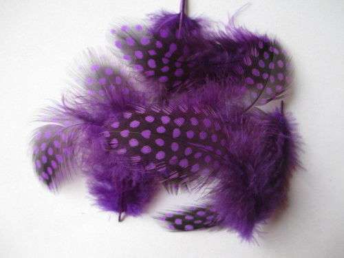 20PCS Beautiful Dotted Guinea Fowl Feathers for Nail Art & Craft
