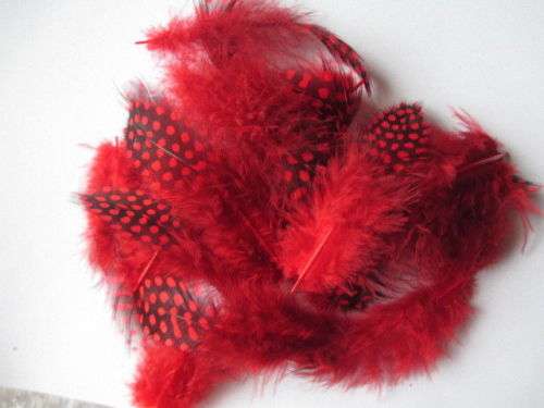 20PCS Beautiful Dotted Guinea Fowl Feathers for Nail Art & Craft